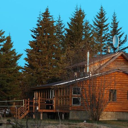 Bear Den Vacation Home Anchor Point Cameră foto