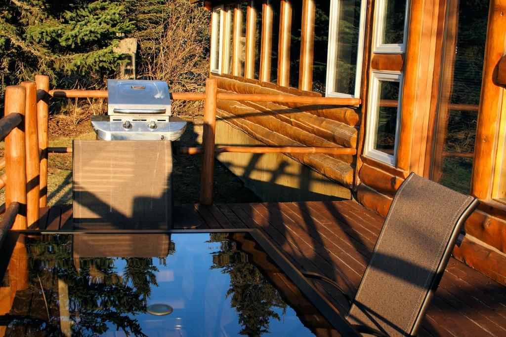Bear Den Vacation Home Anchor Point Cameră foto